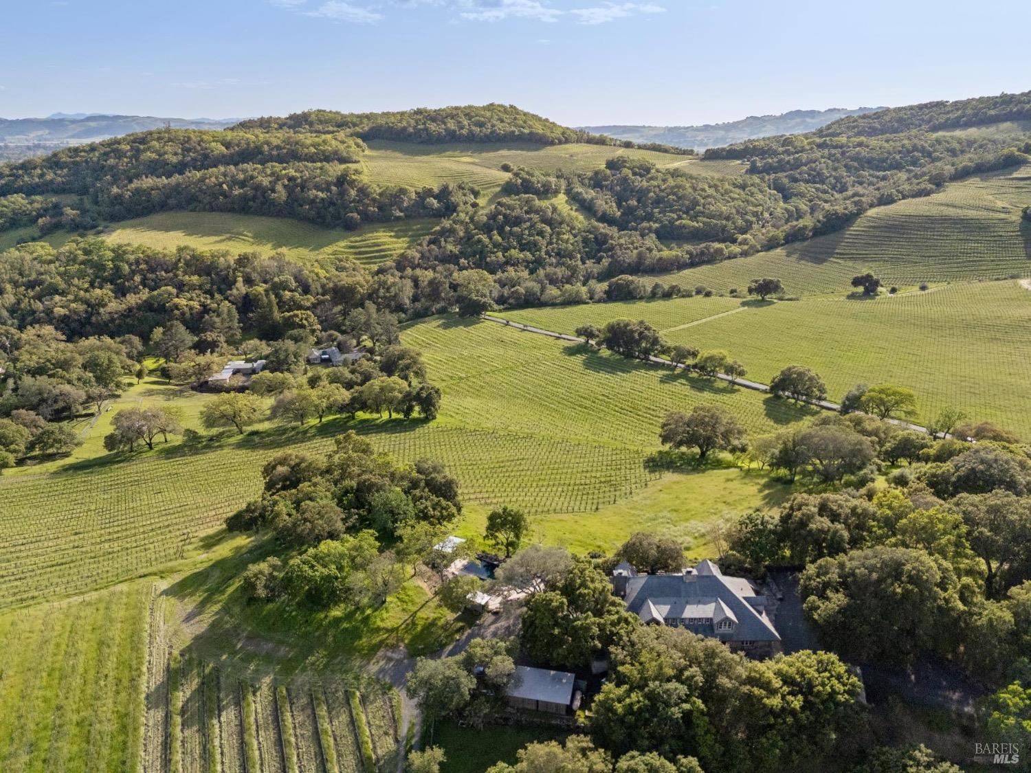 Rolling vineyard hills