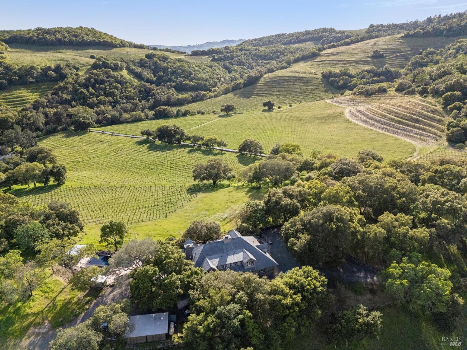 The estate from above