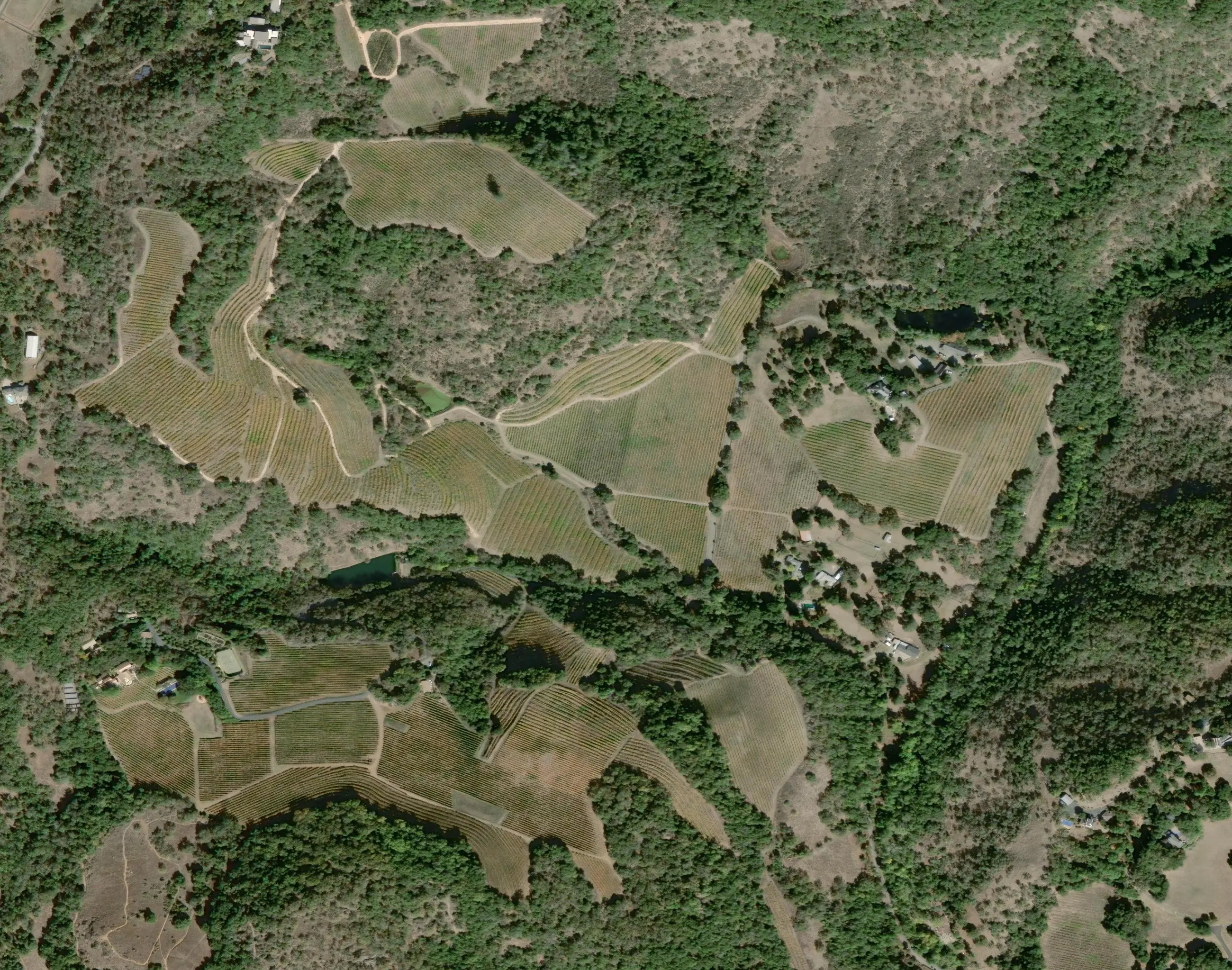 Aerial block map of the Los Chamizal estate at 18000 Gehricke Road, Sonoma, with colored blocks showing Zinfandel, Pinot Noir, Cabernet Sauvignon, Cabernet Franc and Malbec plantings within the Moon Mountain District AVA.