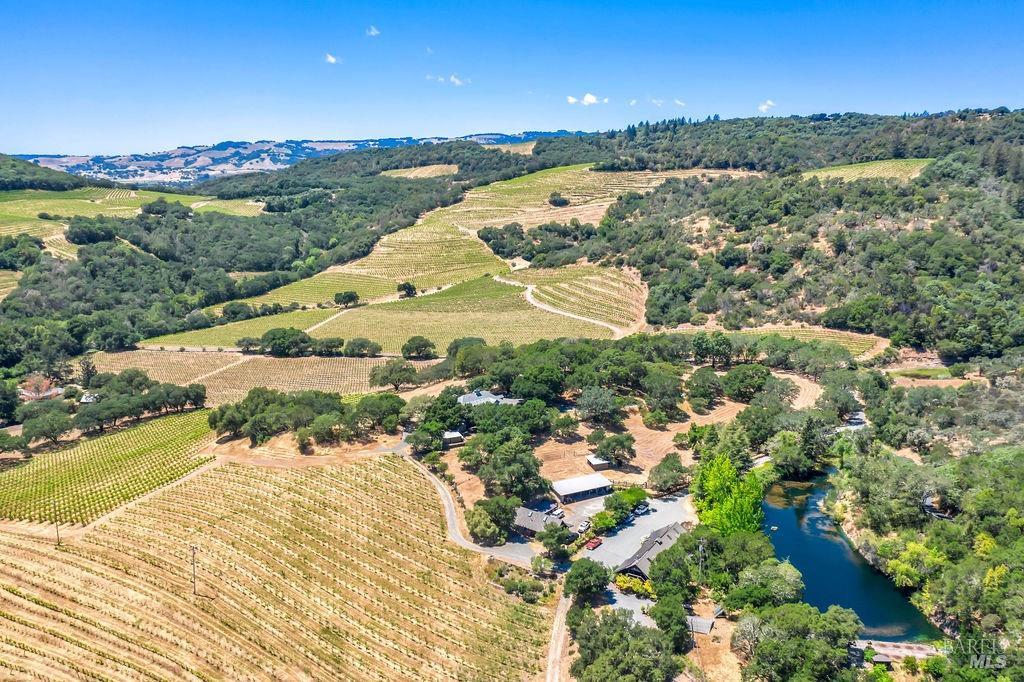 The terraced vineyards of Los Chamizal sweeping down a Sonoma hillside, ringed by oak woodland with the valley opening beyond.